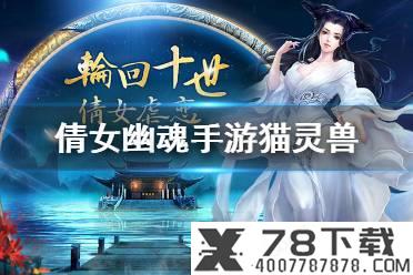 《球王之路》新手怎么玩 新手玩法攻略