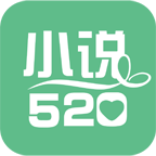 小说520