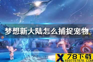 《梦想新大陆》怎么捕捉宠物 宠物捕捉方法