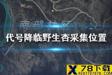 《代号降临》野生杏采集位置怎么样 野生杏采集位置分享