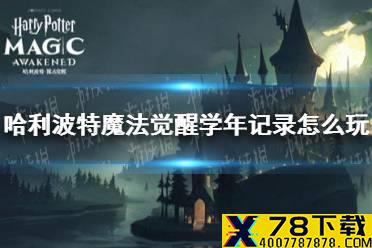 《哈利波特魔法觉醒》学年记录怎么玩 学年记录介绍