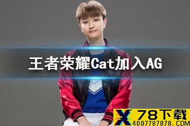 Cat加入AG 猫神转型游走