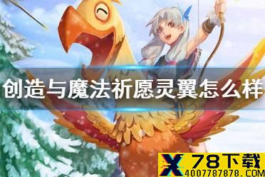 《创造与魔法》祈愿灵翼怎么样 新融合宠祈愿灵翼介绍