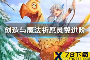 《创造与魔法》祈愿灵翼进阶资质 祈愿灵翼进阶可6资质