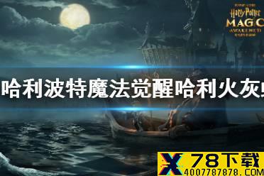 《哈利波特魔法觉醒》哈利火灰蛇流怎么玩 哈利火灰蛇流玩法介绍攻略