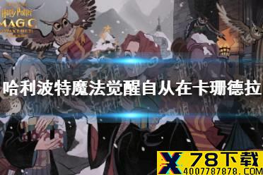 《哈利波特魔法觉醒》自从在卡珊德拉 拼图寻宝第三期第二天攻略