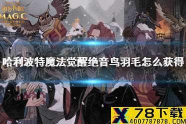 《哈利波特魔法觉醒》绝音鸟羽毛怎么获得 绝音鸟羽毛获取攻略