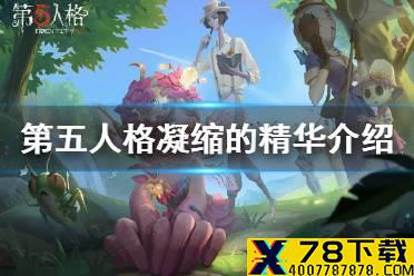 《第五人格》凝缩的精华是啥 凝缩的精华介绍