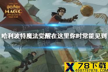 《哈利波特魔法觉醒》在这里你时常能见到 10.11拼图寻宝攻略