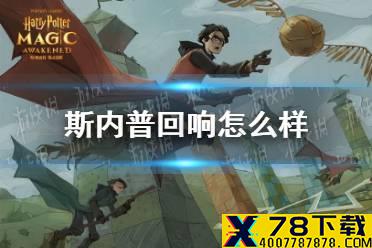 《哈利波特魔法觉醒》斯内普回响怎么样 斯内普回响介绍