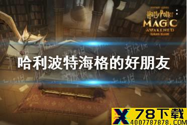 《哈利波特》海格的好朋友 10.12拼图寻宝攻略