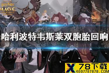 《哈利波特魔法觉醒》韦斯莱双胞胎回响怎么样 韦斯莱双胞胎回响卡介绍