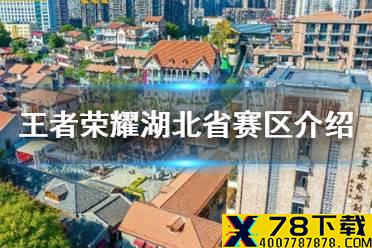 《王者荣耀》湖北省赛区介绍 额外16进8晋级赛轮