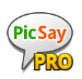 picsaypro