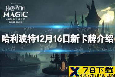 《哈利波特》12月16日新卡牌介绍 新卡牌属性一览