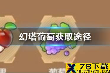 《幻塔》葡萄怎么获取 幻塔葡萄获取途径