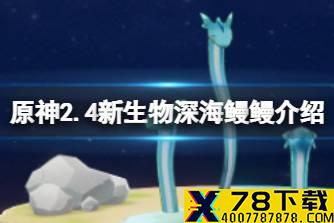 《原神》2.4新生物深海鳗鳗介绍 渊下宫新增生物深海鳗鳗