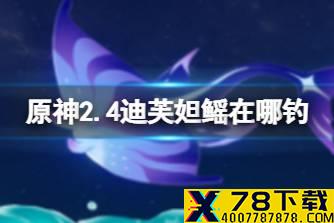 《原神》2.4迪芙妲鳐在哪钓 2.4佛玛洛鳐钓鱼点说明