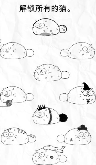 fatty cat app